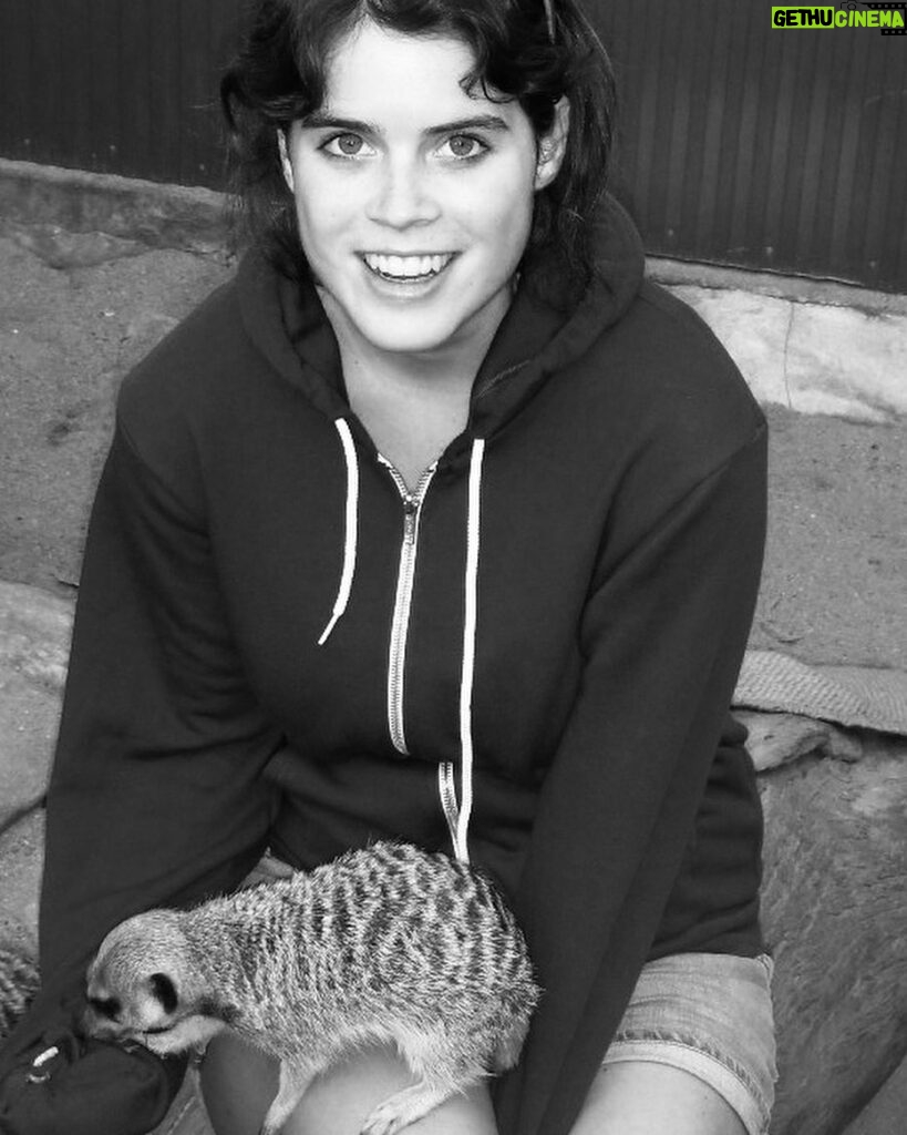 Princess Eugenie Instagram - I was lucky enough to go to @mogowildlifepark in 2009 whilst visiting my Aunt in Australia. It was such an incredible experience to be with the animals and meet such a dedicated team of people supporting these magnificent creatures. Mogo Wildlife Park reopened this past weekend after the devastating bushfires threatened the park and lives of the keepers and animals. Chad Staples, the zoo’s director, received a text "leave now to the east towards the beach and shelter in place", but he and his team chose instead to stay and fight the fire to save the park. I'm in awe of how human determination and drive can overcome such terrifying circumstances and I wanted to share this story of hope after what Australia has been through. All my thoughts have been and are with all those who are affected by the fires in Australia. @mogowildlifepark @zookeeper_chad