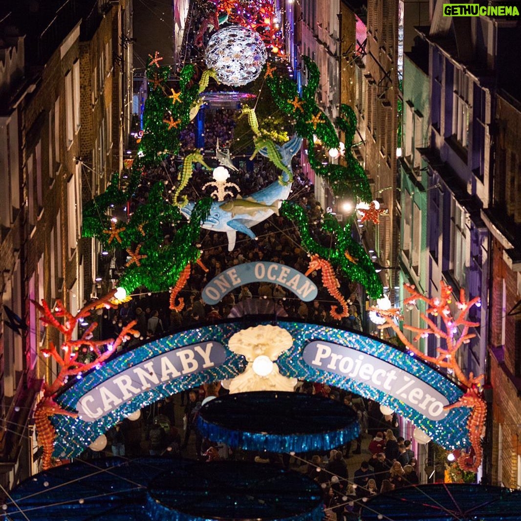 Princess Eugenie Instagram - It's that time of year when lights are being turned on to celebrate the season. A very special installation of #CarnabyChristmas lights were switched on last week for @projectzero The entire installation is made from 100% recycled materials, and features corals, sea kelp, starfish, (my favourite) whales, dolphins, and so much more. I'm honoured to be a patron of Project Zero who have taught me so much about protecting the oceans and who are making huge strides to restore and protect 30% of the ocean by 2030. #protecttheocean #ocean #oceanconservation