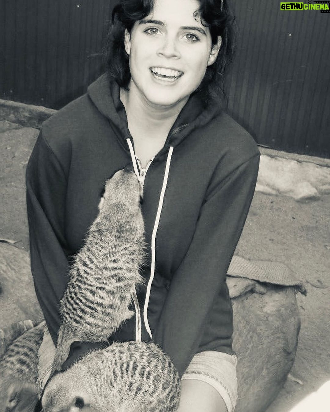 Princess Eugenie Instagram - I was lucky enough to go to @mogowildlifepark in 2009 whilst visiting my Aunt in Australia. It was such an incredible experience to be with the animals and meet such a dedicated team of people supporting these magnificent creatures. Mogo Wildlife Park reopened this past weekend after the devastating bushfires threatened the park and lives of the keepers and animals. Chad Staples, the zoo’s director, received a text "leave now to the east towards the beach and shelter in place", but he and his team chose instead to stay and fight the fire to save the park. I'm in awe of how human determination and drive can overcome such terrifying circumstances and I wanted to share this story of hope after what Australia has been through. All my thoughts have been and are with all those who are affected by the fires in Australia. @mogowildlifepark @zookeeper_chad