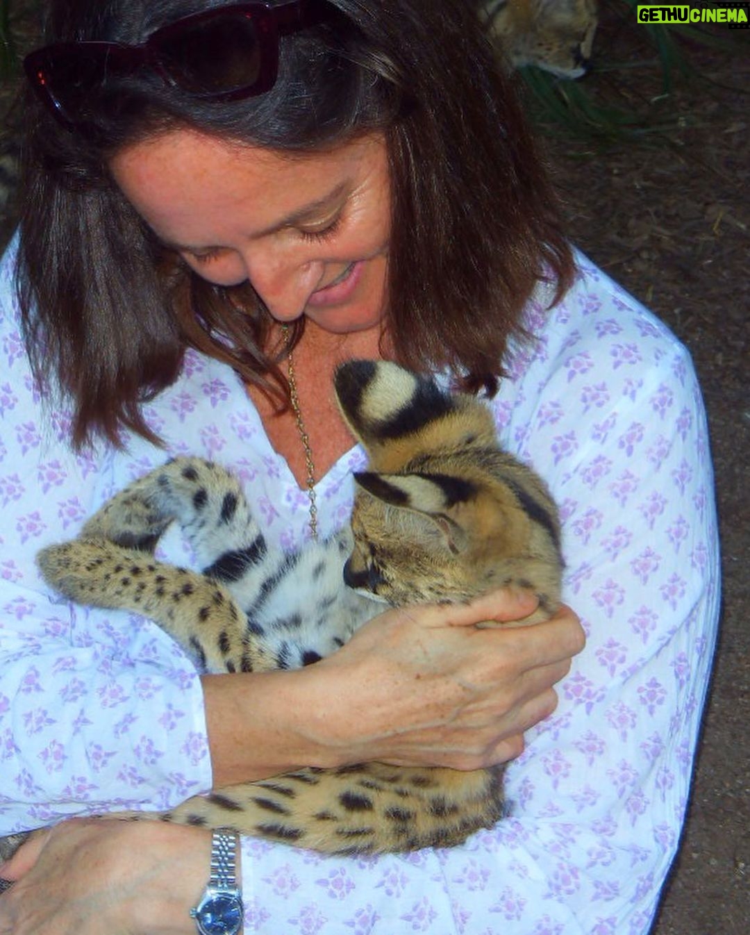 Princess Eugenie Instagram - I was lucky enough to go to @mogowildlifepark in 2009 whilst visiting my Aunt in Australia. It was such an incredible experience to be with the animals and meet such a dedicated team of people supporting these magnificent creatures. Mogo Wildlife Park reopened this past weekend after the devastating bushfires threatened the park and lives of the keepers and animals. Chad Staples, the zoo’s director, received a text "leave now to the east towards the beach and shelter in place", but he and his team chose instead to stay and fight the fire to save the park. I'm in awe of how human determination and drive can overcome such terrifying circumstances and I wanted to share this story of hope after what Australia has been through. All my thoughts have been and are with all those who are affected by the fires in Australia. @mogowildlifepark @zookeeper_chad