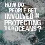 Princess Eugenie Instagram – Sometimes it’s hard to know what to do to protect our oceans.. Jasmin had some helpful thoughts and advice to share with anyone who might need some help. @miss_elasmo