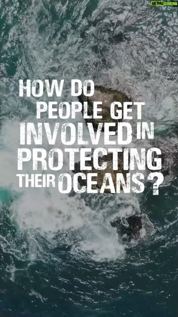 Princess Eugenie Instagram - Sometimes it's hard to know what to do to protect our oceans.. Jasmin had some helpful thoughts and advice to share with anyone who might need some help. @miss_elasmo