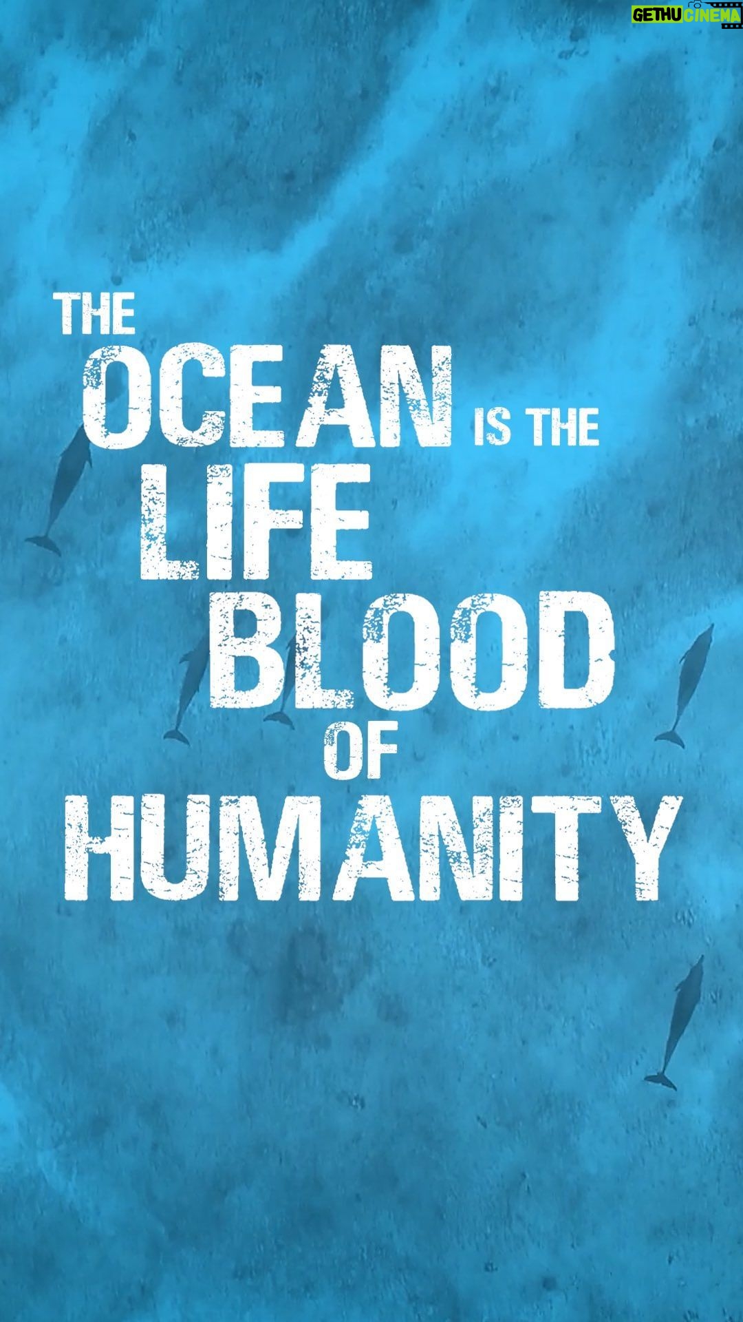 Princess Eugenie Instagram - My first guest in my Ocean Advocate Series is the wonderful @rockydawuni who I met recently at @cop26uk with @unep We quickly realised our paths are intertwined and that our mission is to help our environment and oceans. 🎞 Andy Bell, Doug Anderson, Hassan Hameez / Blue Marine Foundation