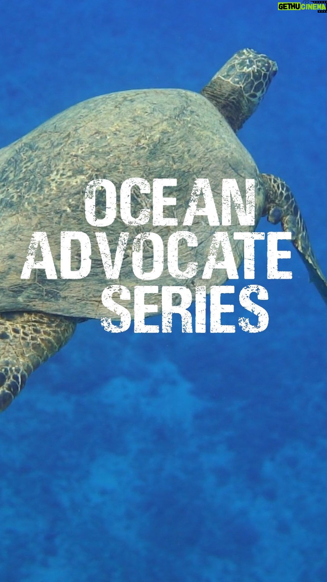 Princess Eugenie Instagram - As we celebrate #worldoceansday and in the lead up to the UN ocean conference in a few weeks, I've been talking to some of the worlds leading ocean advocates about their journey to protect the ocean and learning about how we can all do our bit to protect this integral part of our world. Please tune in over the next couple of weeks to hear from these remarkable people who are protecting the ocean and the wildlife in it, from oysters to sharks. We can support and care for the ocean like one of our own. Proud ambassador of @bluemarinefoundation