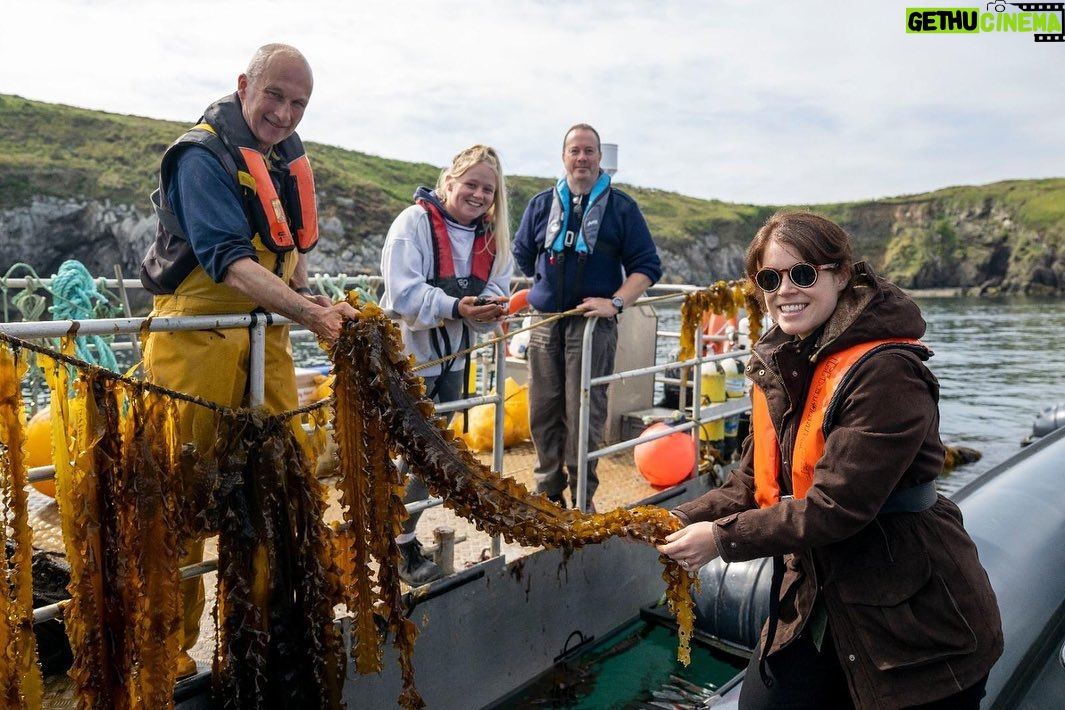 Princess Eugenie Instagram - Today is #worldoceansday a day we have to herald the ocean for the amazing place it is. Yesterday I was lucky enough to be on the Welsh coast visiting @car_y_mor site in Wales. This regenerative ocean farm, supported by @wwf_uk is such a wonderful volunteer supported, community owned project that looks to deliver no-input, low-impact marine farming. Farming seaweed is a very efficient way to produce nutritious food (the seaweed burger was particularly good), fertilise crops and feed animals as well as giving new habitats to marine life. WWF's seaweed solutions project aims to accelerate the growth of regenerative ocean farming to improve biodiversity, sequester carbon and to provide products for use in food, feed and bioplastics. Thank you to you all for such a wonderful day on our special ocean @wwf_uk @car_y_mor @pcfcic @falcon_boats