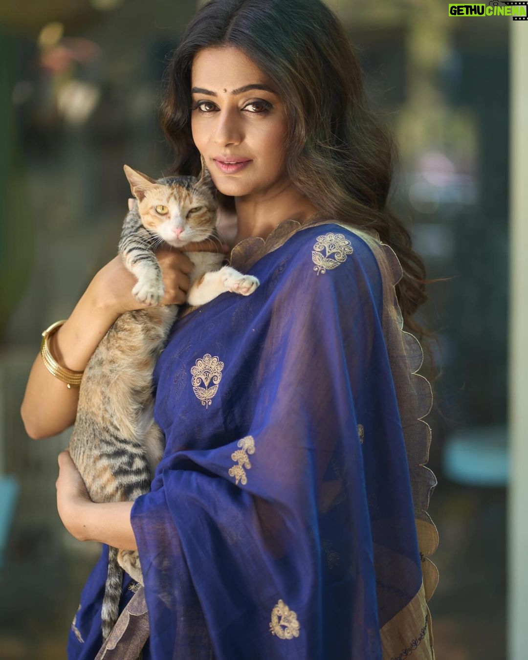 Priyamani Instagram - Aa jao “Maidaan” mein 📸 @palashsverma Styled by @theitembomb ❤️ Wearing @labelearthen Jewels by @aquamarine_jewellery Location @wtfversova Pr and digital @expansionprofficial MUH : @pradeep_makeup @shobhahawale