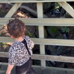 Priyanka Chopra Instagram - The magic of nature. Her first hike. She touched everything, jumped in puddles till she was muddy till her knees. To witness her in real time experiencing everything for the first time.. is just her magic dust that she sprinkles in my life every day. ❤️😍🙏🏽 Topanga State Park