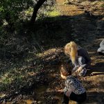 Priyanka Chopra Instagram - The magic of nature. Her first hike. She touched everything, jumped in puddles till she was muddy till her knees. To witness her in real time experiencing everything for the first time.. is just her magic dust that she sprinkles in my life every day. ❤️😍🙏🏽 Topanga State Park