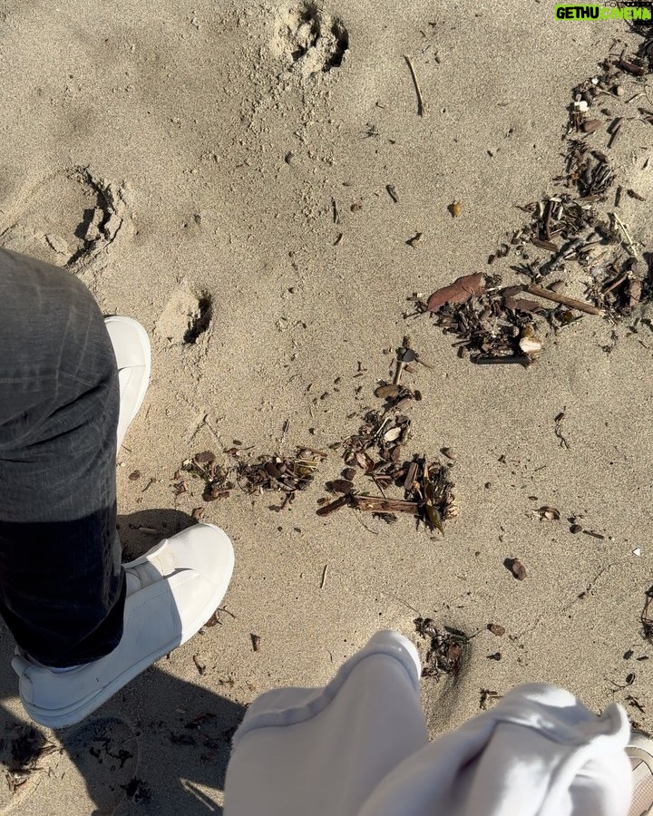 Priyanka Chopra Instagram - Lately ❤️ Full heart, full tummy. 😋 Santa Barbara, California