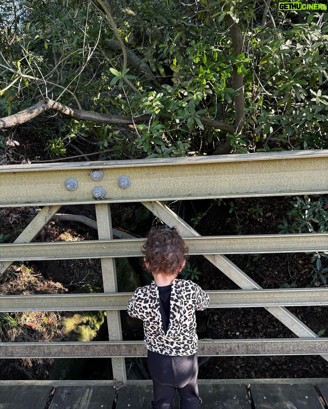 Priyanka Chopra Instagram - The magic of nature. Her first hike. She touched everything, jumped in puddles till she was muddy till her knees. To witness her in real time experiencing everything for the first time.. is just her magic dust that she sprinkles in my life every day. β€οΈπππ½ Topanga State Park