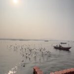 Priyanka KD Instagram – My happy place 😊….. 

#priyankakholgade #instagram #instagood #instalike #photography #photoshoot #photooftheday #kashi #varanasi #banaras #kashighat #assighat #ghat