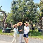 Puttichai Kasetsin Instagram - มาแล้วคร้าบบบต้นไม้ใหญ่ 🌳 วันนี้จัดไป4 ต้น โปรเจคนี้ต้องขอบคุณพี่ดุ๊กมากๆเลยนะคะ #ดุ๊กปรับให้ เป็นการสร้างบ้าน จัดสวนที่สนุกมากๆเลยค่ะ @duke_bhanudej