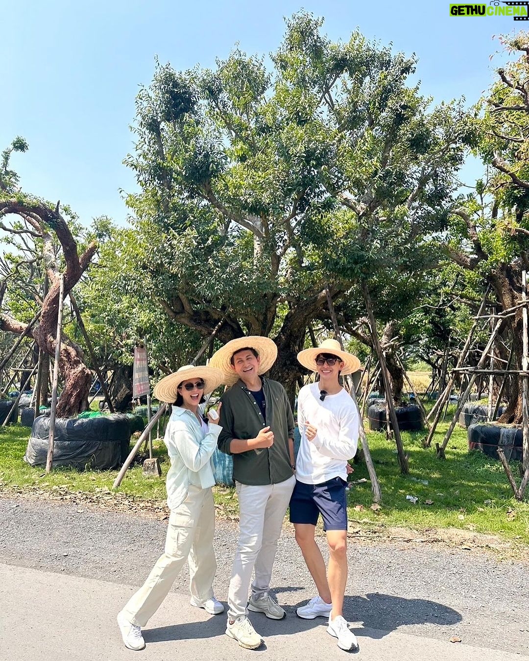 Puttichai Kasetsin Instagram - มาแล้วคร้าบบบต้นไม้ใหญ่ 🌳 วันนี้จัดไป4 ต้น โปรเจคนี้ต้องขอบคุณพี่ดุ๊กมากๆเลยนะคะ #ดุ๊กปรับให้ เป็นการสร้างบ้าน จัดสวนที่สนุกมากๆเลยค่ะ @duke_bhanudej