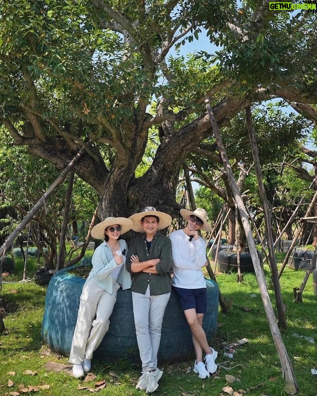 Puttichai Kasetsin Instagram - มาแล้วคร้าบบบต้นไม้ใหญ่ 🌳 วันนี้จัดไป4 ต้น โปรเจคนี้ต้องขอบคุณพี่ดุ๊กมากๆเลยนะคะ #ดุ๊กปรับให้ เป็นการสร้างบ้าน จัดสวนที่สนุกมากๆเลยค่ะ @duke_bhanudej
