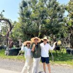 Puttichai Kasetsin Instagram - มาแล้วคร้าบบบต้นไม้ใหญ่ 🌳 วันนี้จัดไป4 ต้น โปรเจคนี้ต้องขอบคุณพี่ดุ๊กมากๆเลยนะคะ #ดุ๊กปรับให้ เป็นการสร้างบ้าน จัดสวนที่สนุกมากๆเลยค่ะ @duke_bhanudej