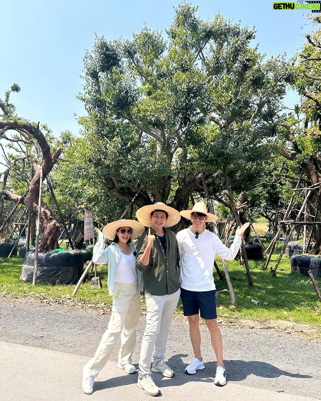 Puttichai Kasetsin Instagram - มาแล้วคร้าบบบต้นไม้ใหญ่ 🌳 วันนี้จัดไป4 ต้น โปรเจคนี้ต้องขอบคุณพี่ดุ๊กมากๆเลยนะคะ #ดุ๊กปรับให้ เป็นการสร้างบ้าน จัดสวนที่สนุกมากๆเลยค่ะ @duke_bhanudej