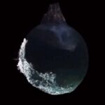 Questlove Instagram - When I put up retrograde alerts some of yall in the DMs ask “if you really believe in that stuff….” & im like how can you NOT see hiow the alignment can effect your day. The moon literally affects everything on our planet (your mood, the tide, weather ——-everything. It’s just some of y’all don’t have a visual on how it affects. (Thx @marysierra 🎥 )