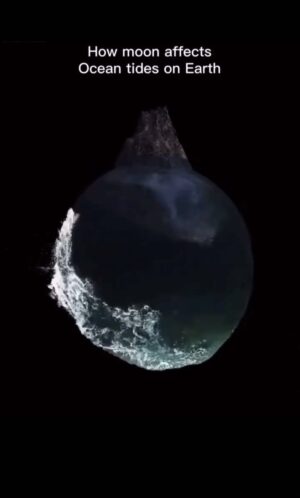 Questlove Instagram - When I put up retrograde alerts some of yall in the DMs ask “if you really believe in that stuff….” & im like how can you NOT see hiow the alignment can effect your day. The moon literally affects everything on our planet (your mood, the tide, weather ——-everything. It’s just some of y’all don’t have a visual on how it affects. (Thx @marysierra 🎥 )