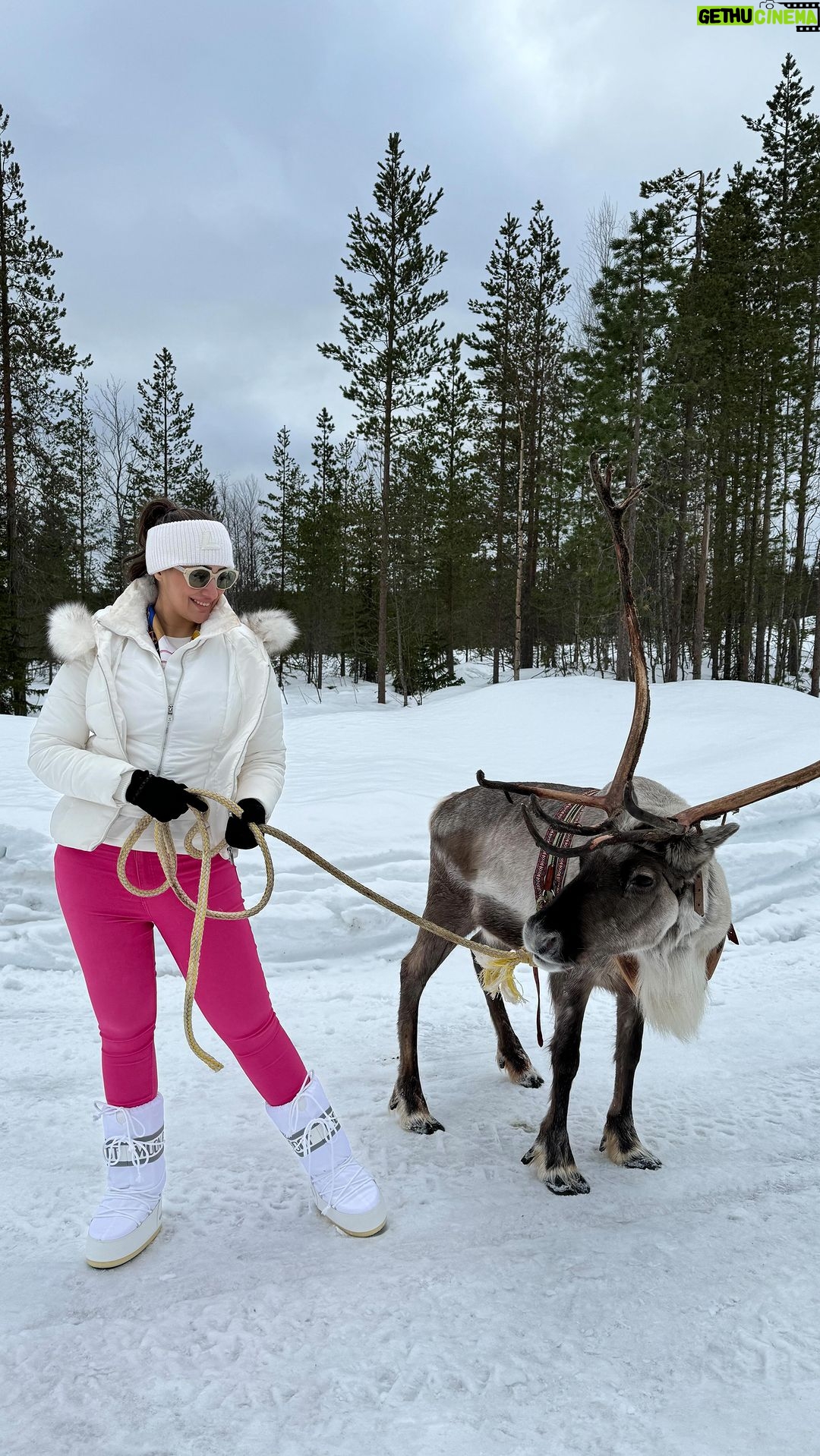Raai Laxmi Instagram - Reindeer and I in this cozy lappish hut ππ₯ΆβοΈπ #heavenlyplace #lapland #reelitfeelit #reels #blissful #beauty #magical #blessed #gratitude ππ§Ώ Lapland, Arctic Circle