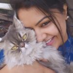 Rachitha Mahalakshmi Instagram - Vibing with my punidhamana kadhal 😻🐾 @siberian_whiskeygrey 😻 #vibingwiththesong