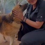 Rachitha Mahalakshmi Instagram - D moment I felt all d love, filled with loyalty nd gratitude...... 🐕🐶🐾🐾 D paradise....... 🥹🥺🥹🥺🥹🥺 : #purelove #trueloyalty 🙏🏻 ANBAE SHIVAM 🙏🏻