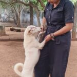 Rachitha Mahalakshmi Instagram - It's not about who wants u..... It's all about who values nd accepts you...... 🙌🏻 These paws r magical, healing ..... 🥹 I Found my love.... Found my purpose..... Found my peace.... Found my happy place.... 🥹🥹🥹🥹🥹🥹 I needed a hand nd then I got d paw🐾 🐾 It's a four legged world 🐾🐾❤️❤️ Somethings just fill ur heart without trying..... LIVE AND LET LIVE...... 🙏🏻🙏🏻🙏🏻🙏🏻🙏🏻🙏🏻🙏🏻🙏🏻 #paw love.....