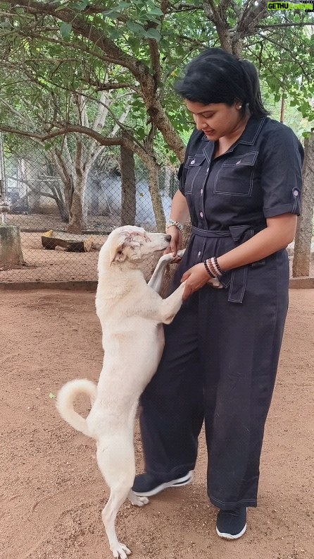 Rachitha Mahalakshmi Instagram - It's not about who wants u..... It's all about who values nd accepts you...... 🙌🏻 These paws r magical, healing ..... 🥹 I Found my love.... Found my purpose..... Found my peace.... Found my happy place.... 🥹🥹🥹🥹🥹🥹 I needed a hand nd then I got d paw🐾 🐾 It's a four legged world 🐾🐾❤❤ Somethings just fill ur heart without trying..... LIVE AND LET LIVE...... 🙏🏻🙏🏻🙏🏻🙏🏻🙏🏻🙏🏻🙏🏻🙏🏻 #paw love.....