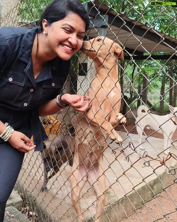 Rachitha Mahalakshmi Instagram - The only ,only, only souls that made my day 🐶🐾🐾 - You just have to surround yourself with the souls that make u feel grateful to be alive....... 🐶🐾🐾 That's d enormous love i have received..... Idhu podhumae yaenaku..... Na santoshama irukaradaku...... Serving them for d rest of my life..... 🫡🙌🏻🙌🏻🙌🏻 Thanku @has_coimbatore puppies for giving back d lost happiness. Thanku for bringing back d lost smile..... 🥹🥹🥹 #pawlove