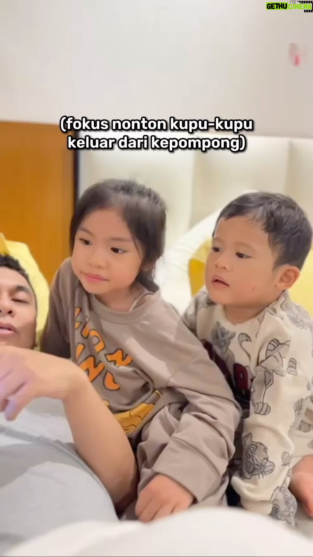 Raditya Dika Instagram - Sebelum tidur suka lihat2 video hewan dulu..