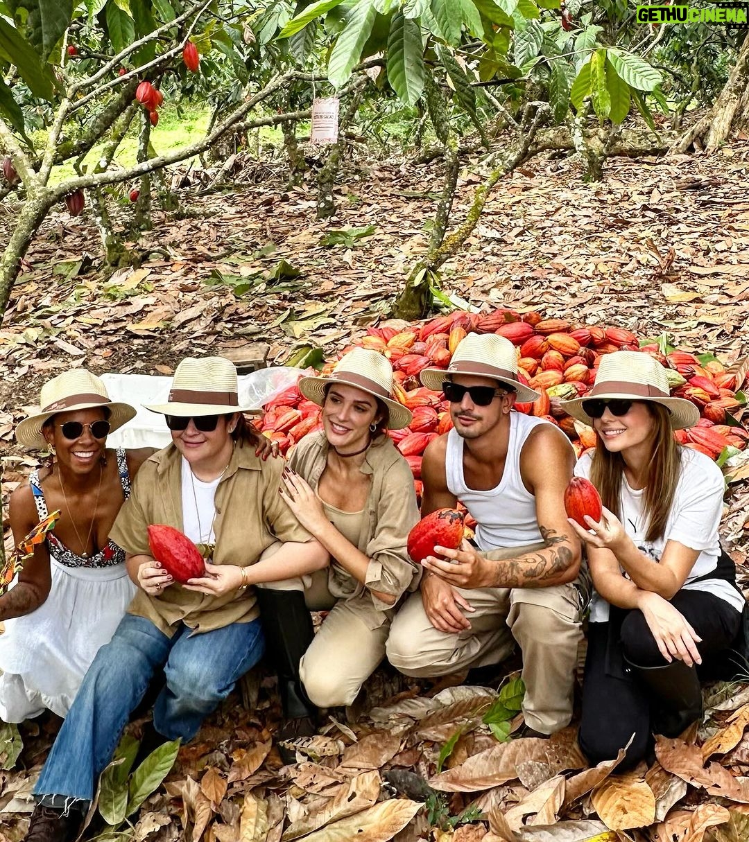 Rafa Brites Instagram - Rota do cacau. Tive ume experiência linda para conhecer o programa #Cocoaplan que tem como o objetivo fomentar e implementar práticas regenerativas e sustentáveis na cadeia de produção desse fruto tão mágico. Agora toda vez que for degustar ou atacar mesmo aquele chocolate delicioso vou lembrar de toda a importância que o cacau tem para nosso país. Melhor é ter essa experiência com os amigos @ritabatista @juferraz @cacelico e @enzocelulari ! Obrigada @cantagalo.cacau @nestlechocolates ate a próxima! Fotos @lecanovo #publi