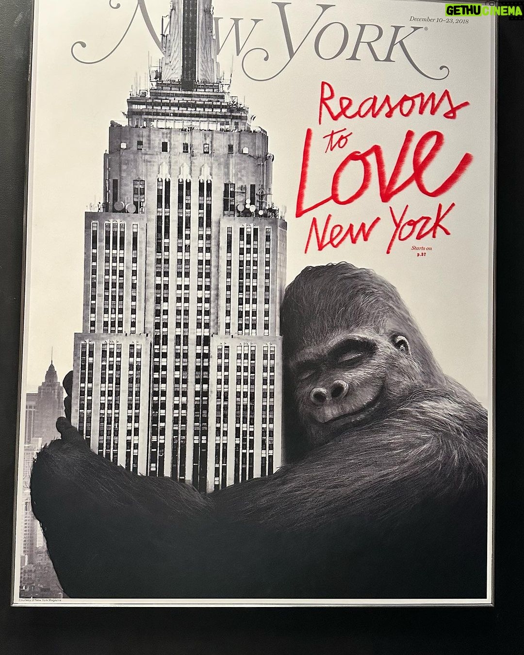 Rafa Brites Instagram - Empire State of Mind!