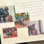 Rafa Brites Instagram - Dia de Mel: batizei assim alguns dias do ano que conseguimos dar uma fugida e curtirmos só o casal. As vezes ficamos esperando Aquela viagem… aquelas férias longas, e sabemos que com filhos não é facil. Viemos pro @palaciotangara viver esse refúgio dos sonhos. Comemorar o aniversário do Felipe. Foi muito especial! Seja em casal, em família , sozinha (tai um sonho das mães tambem) shhhh. Abafa! Você nunca vai se sentir tão bem cuidada. Hoje pela manhã recebemos um notícia (que eu ainda não estou pronta para escrever sobre) …mas a equipe é tão atenciosa que viu eu e o @andreolifelipe chorando no café da manhã… Minutos depois voltamos para o quarto e tinha esse cartão lindo. Um hotel de luxo é muito mais do sua arquitetura , gastronomia spa… maravilhosos. Sempre são as pessoas que fazem a diferença . ♥️ Palácio Tangará