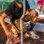 Rafa Polinesio Instagram - Iniciamos la construcción de nuestro huerto hace semanas 📅 está tomando más días de lo que me imaginé😅 cuando terminemos se los muestro💥 🥦🍅🌽