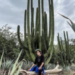 Rafa Polinesio Instagram - Mexico lindo y querido 🇲🇽 Tequila, Jalisco