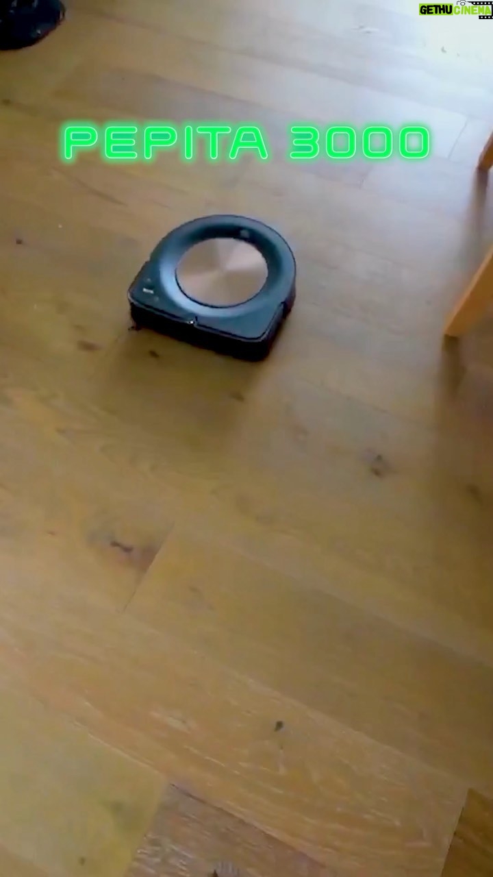 Rafa Polinesio Instagram - Pepita se nos puso algo loquita 🤪