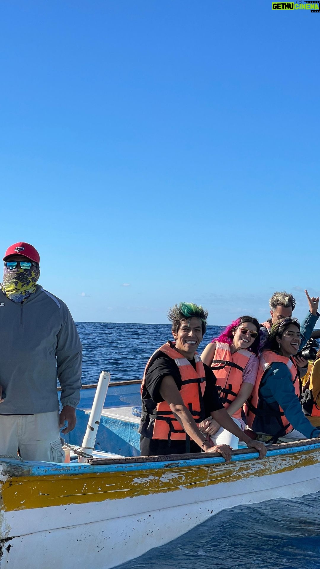 Rafa Polinesio Instagram - La tierra me regalo esto de cumpleaños 🙏🐋🐬🦭