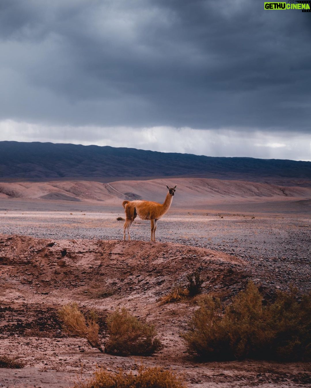 Rafa Polinesio Instagram - 馃嚚馃嚤 La magia andina 馃彅 me transform贸 鉂わ笍 Desierto De Atacama