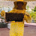 Rafa Polinesio Instagram - Bienvenido al mundo 🍼🐝💚 Hatta Honey Bee Garden