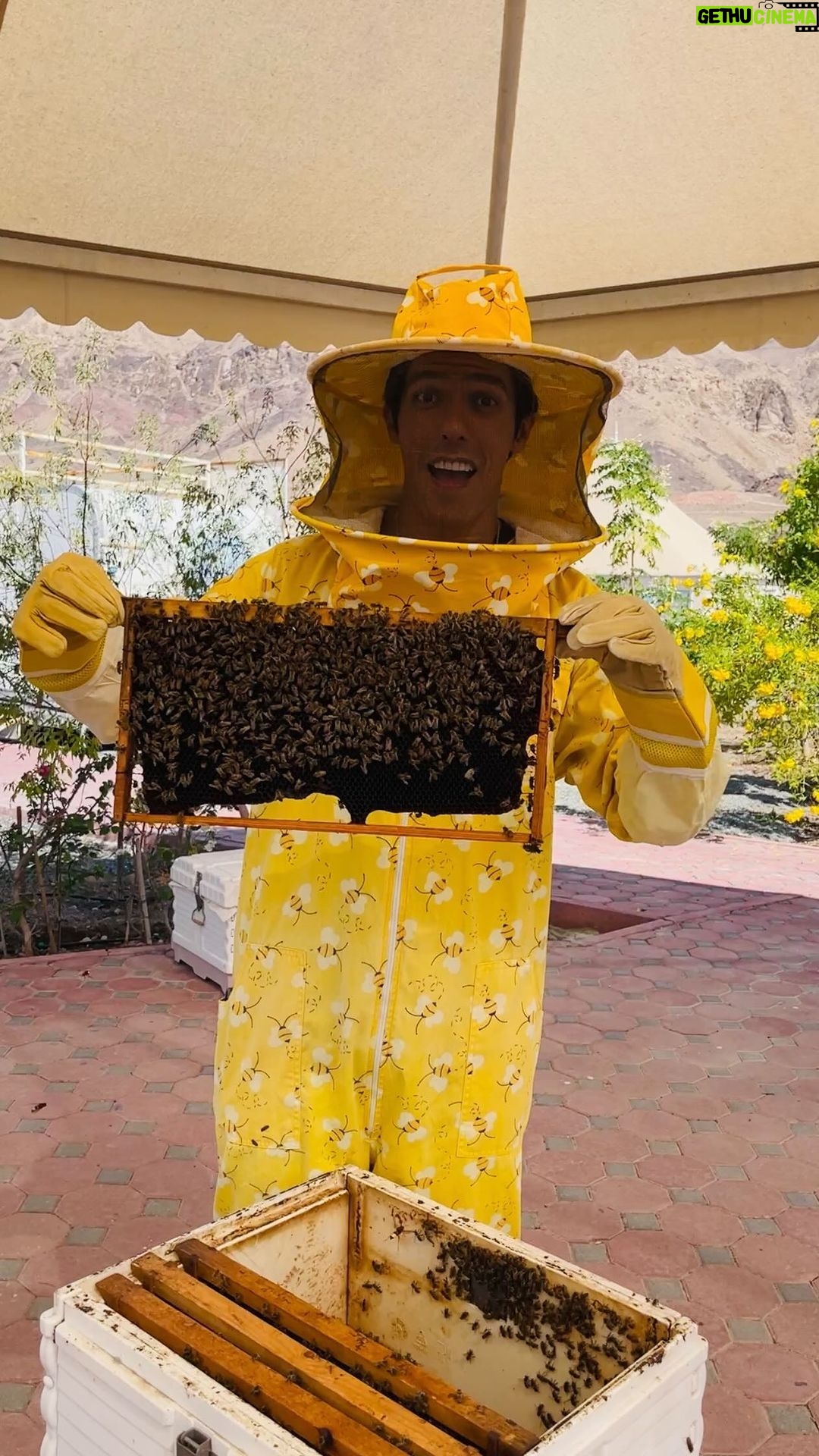 Rafa Polinesio Instagram - Bienvenido al mundo πΌππ Hatta Honey Bee Garden