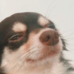 Rafael Lange Instagram - 98% do meu dia