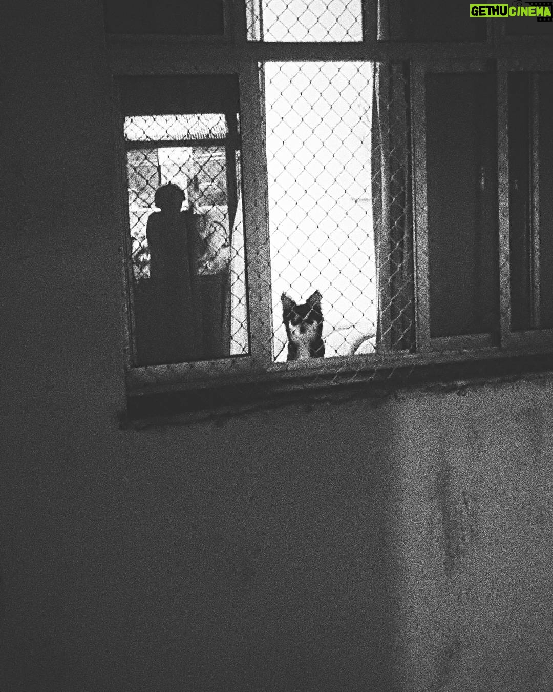 Rafael Lange Instagram - a imagem mais triste de 2018