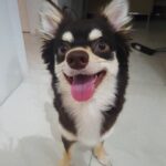 Rafael Lange Instagram - pronto seu dia ta um pouco melhor