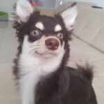 Rafael Lange Instagram - o amor da minha vida