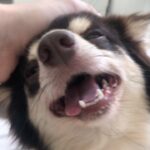 Rafael Lange Instagram - a unica coisa que importa
