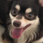 Rafael Lange Instagram - toma, voce merece essa foto pra melhorar o seu dia