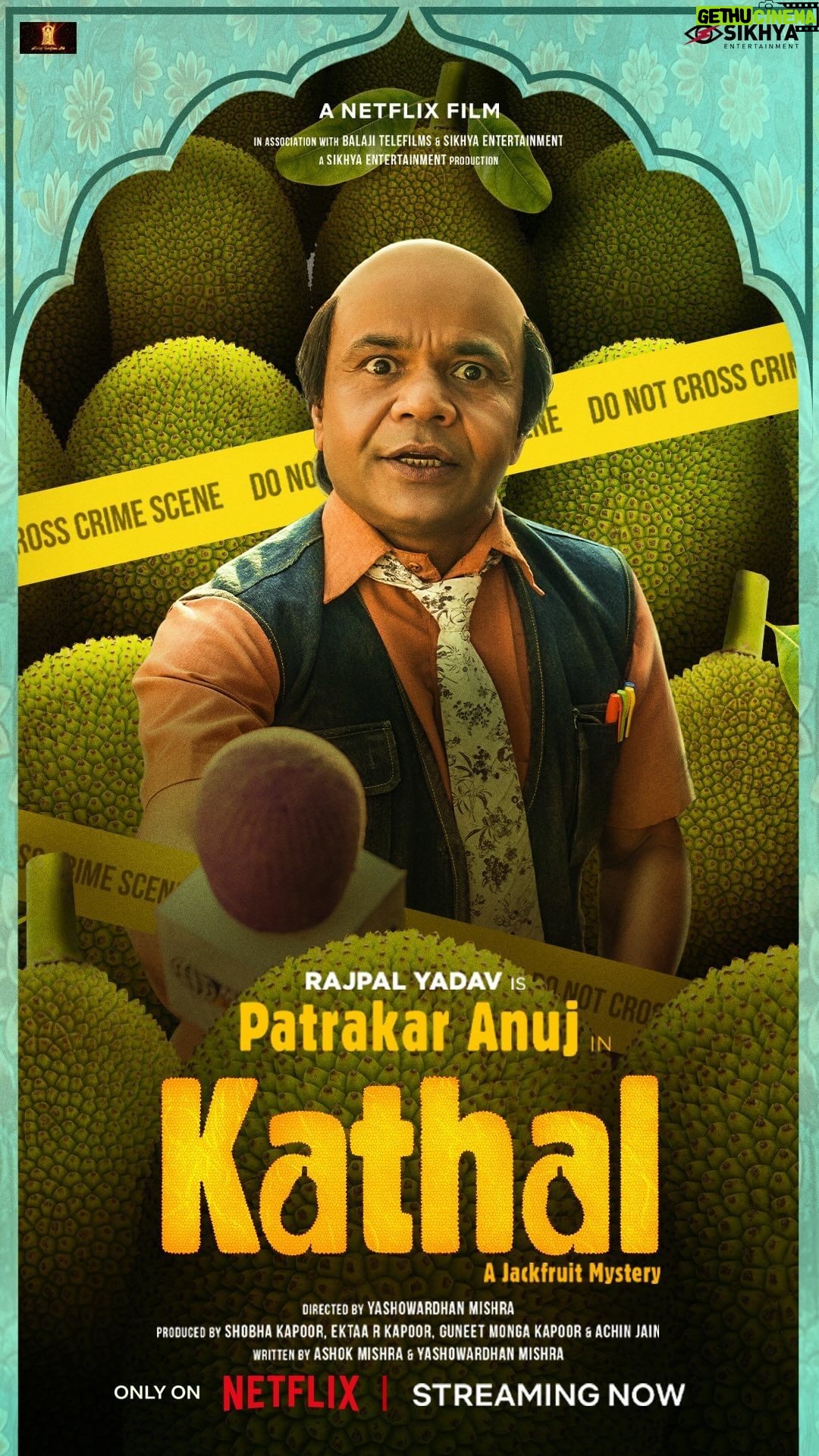Rajpal Naurang Yadav Instagram - Ucch koti ke patrakaar, yeh hain Anuj ji, the face of Moba samachaar! Miliye Anuj ji se, ‘Kathal’ mein, sirf Netflix par! @sanyamalhotra_ @anantvjoshi @yashowardhanm @guneetmonga @ektarkapoor @achinjain20 @shobha9168 @ruchikaakapoor @ashokmishraa40 #raghubiryadav @vijayraazofficial @rajpalofficial @imsarafneha @guchagurpal @netflix_in @Sikhya @balajimotionpictures #BalajiMotionPictures @zeemusiccompany #KathalOnNetflix #kathal