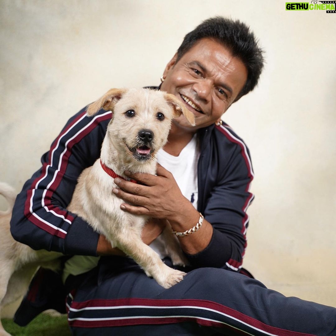 Rajpal Naurang Yadav Instagram - Happy World Pet Day everyone ! On this special day, let us all take a moment to appreciate the love and companionship that our pets bring into our lives. Let us also remember the millions of animals around the world who are still waiting for a loving home. If you don't have a pet yet, I urge you to consider adopting one. You will be amazed at how much love and joy they can bring into your life. #rajpalyadav #worldpetday #pet #petlovers #petlover #dogsofinstagram #dog #dogs #adoptdontshop #doglover