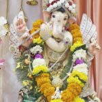 Rajpal Naurang Yadav Instagram - वक्रतुण्ड महाकाय सूर्यकोटि समप्रभ। निर्विघ्नं कुरु मे देव सर्वकार्येषु सर्वदा॥ गणपती बप्पा मोरया ! 🙏🏻 #ganeshchaturthi #ganesh #ganpatibappamorya #ganpati #rajpalyadav Video edit @anjalivuduta