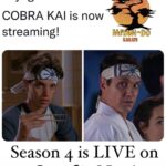 Ralph Macchio Instagram - Have at it!! Enjoy the ride! 🥋🌳🥂