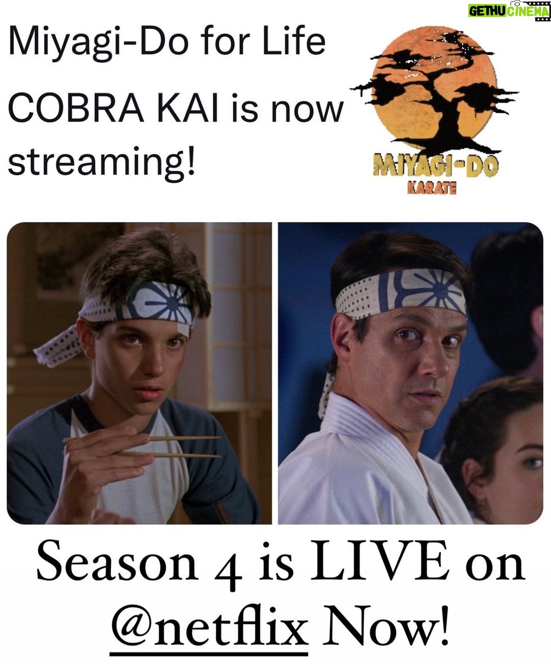 Ralph Macchio - 209K Likes - Have at it!! Enjoy the ride!
🥋🌳🥂